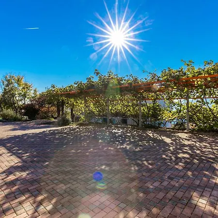 Frlan * カスタヴ