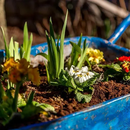 Frlan アパート *