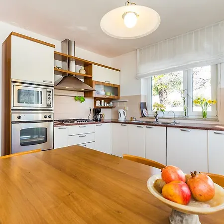 Frlan * カスタヴ