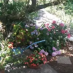 Διαμέρισμα Frlan Kastav