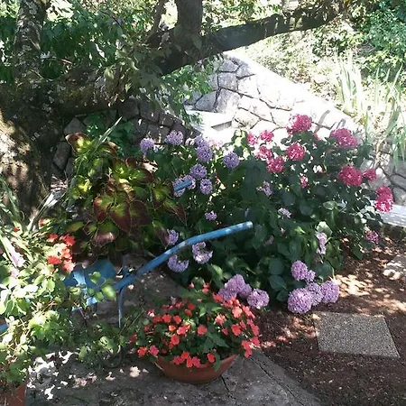 Apartment Frlan Kastav