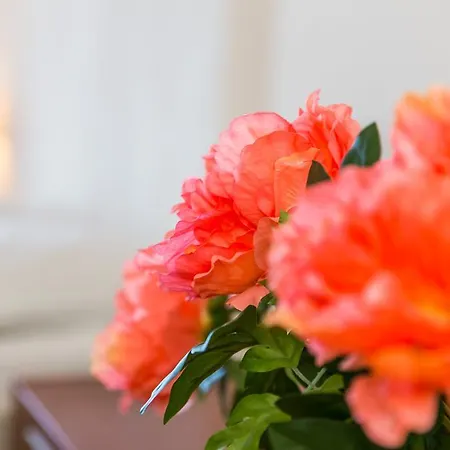 Apartment Frlan Kastav