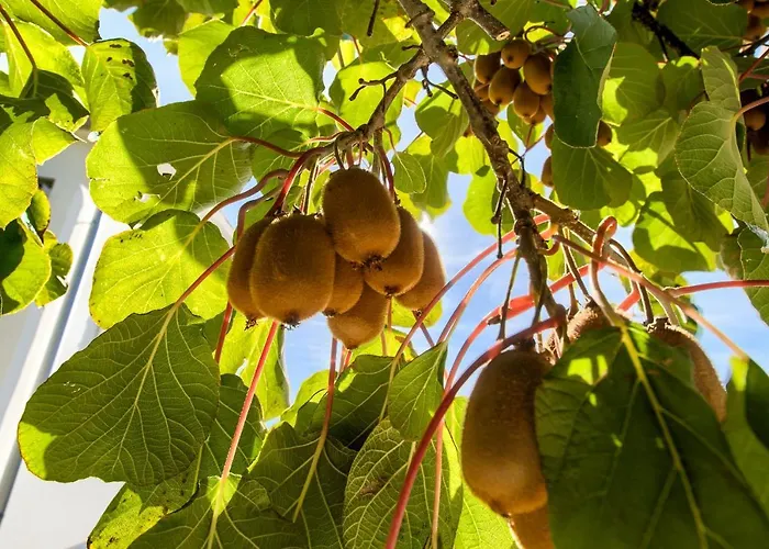 Appartement Frlan Kastav